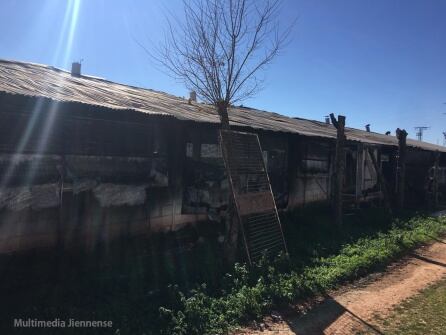 Exterior de la granja calcinada en la localidad de Vilches y donde han fallecido 15.000 pollos en el incendio