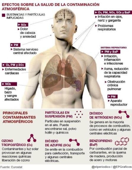 Los efectos que provoca la contaminación atmosférica en el cuerpo humano.