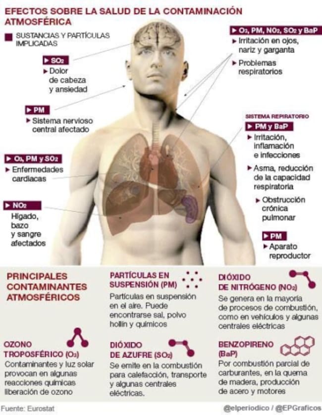 Los efectos que provoca la contaminación atmosférica en el cuerpo humano.