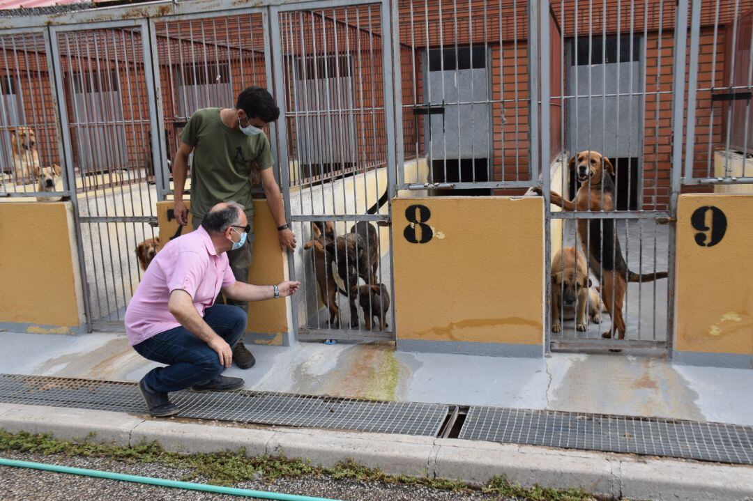 El Albergue Provincial de Animales cuida en la actualidad a 130 perros de diferentes razas y edades