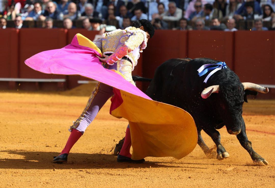 Plaza de toros en Palma