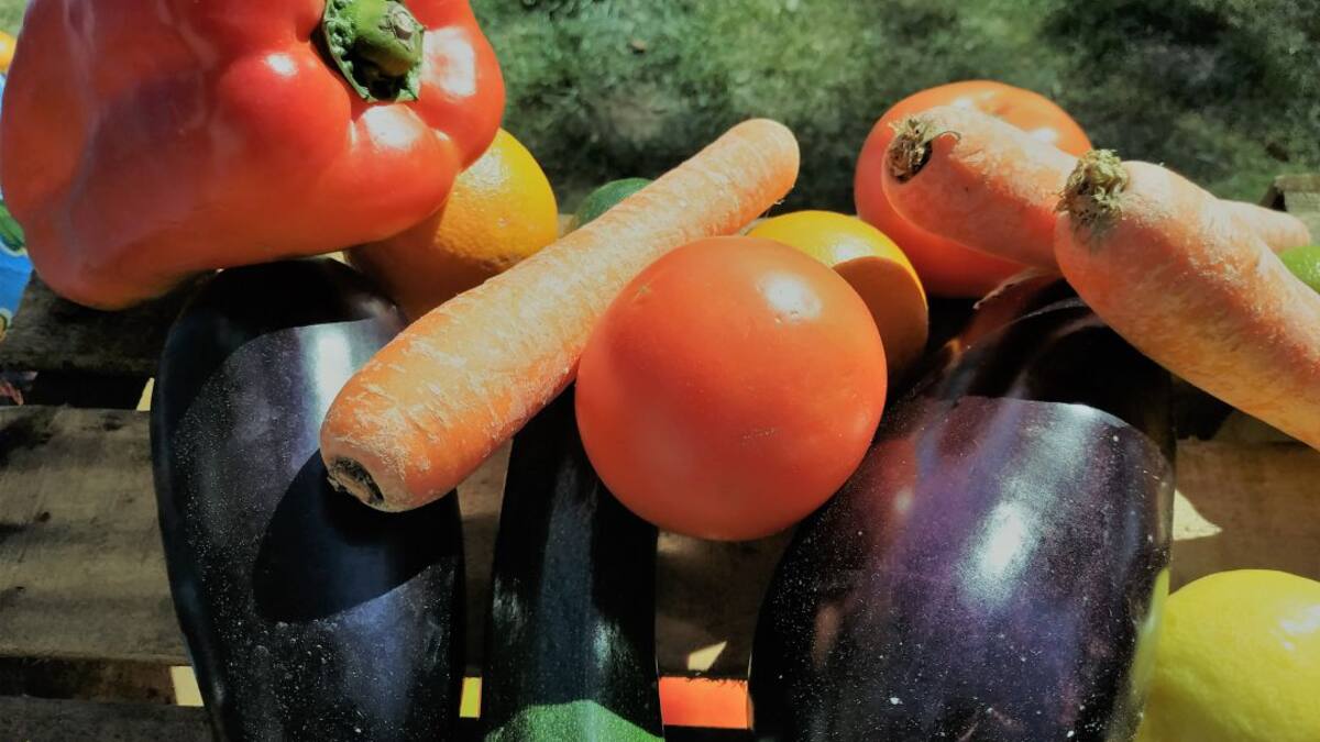 El Banco de Tierras reparte más de 30.000 plantas de hortaliza autóctona