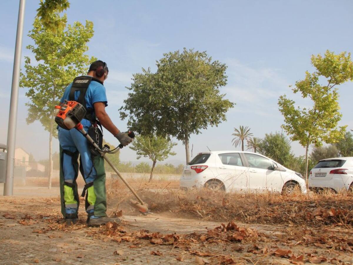 Cort inicia un plan de choque contra la proliferación de hierbajos en Palma