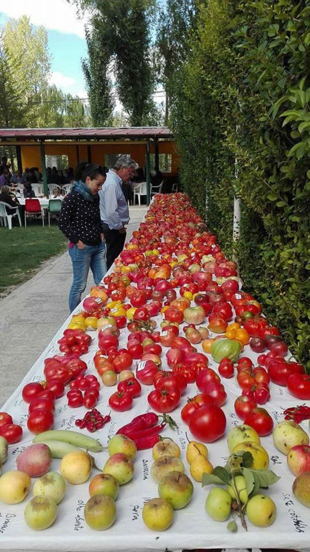 Muestra de tomates y otros frutales durante la pasada edición