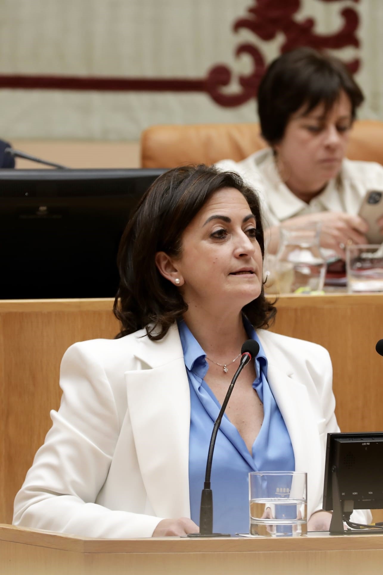 La presidenta de La Rioja, Concha Andreu, ha cerrado en el Parlamento el debate sobre la ley de salud mental, una norma promovida por la diputada de IU, Henar Moreno, al fondo.