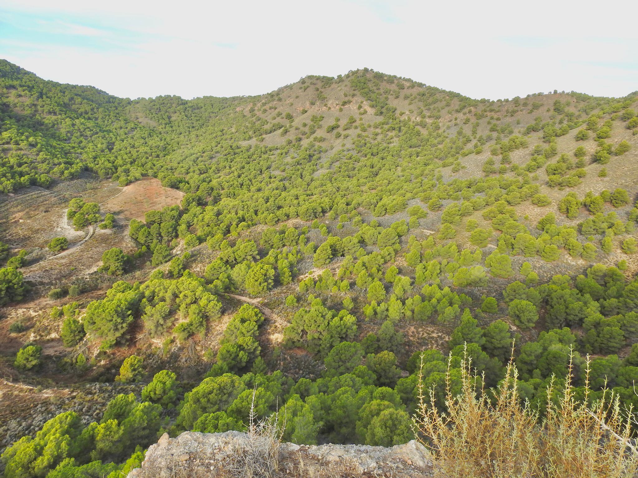 Sierra de la Almenara de Lorca.