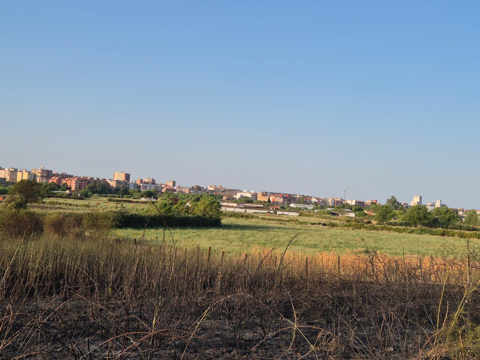Restos del incendio en las inmediaciones de la antigua fábrica de tomate, en el Camino Viejo de Mejorada.