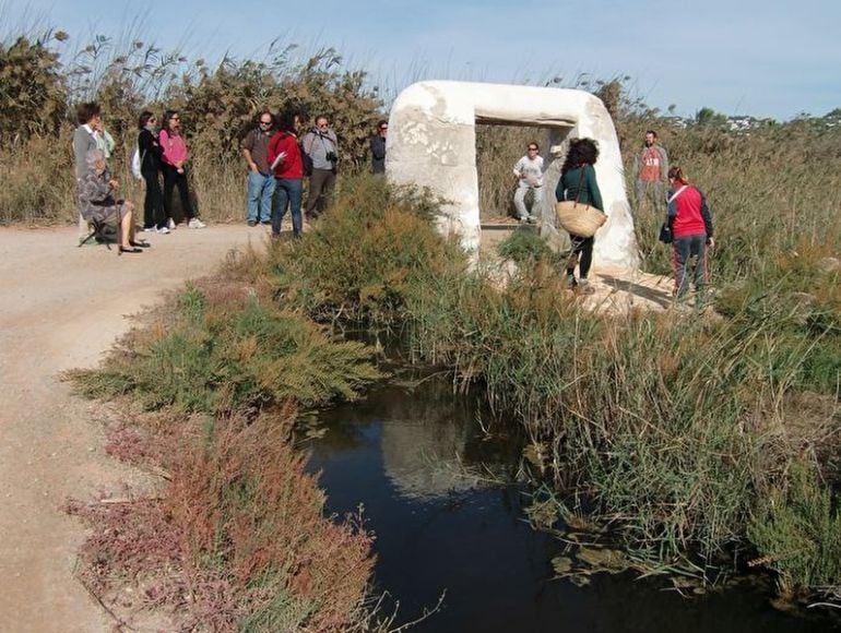 Imagen de la zona de Ses Feixes, donde la asociación ha desarrollado varios proyectos