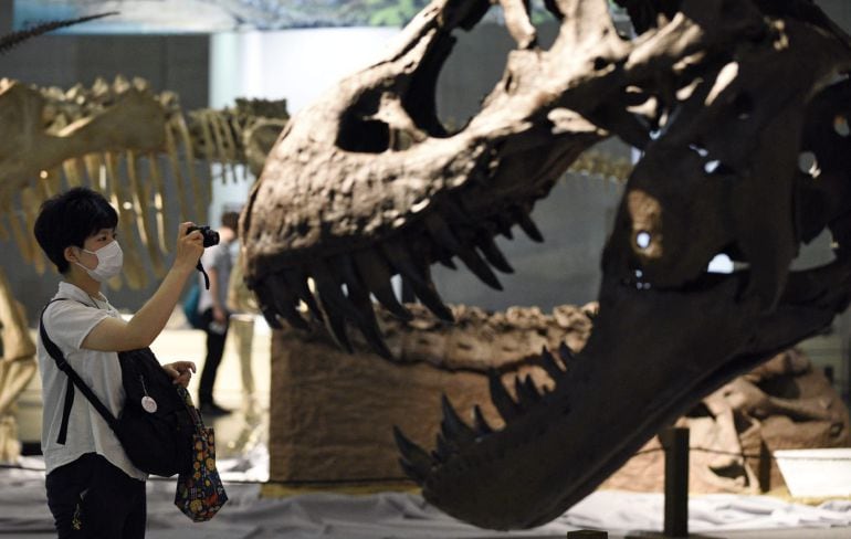 Una visitante hace una foto de los restos óseos de un Tiranosaurio