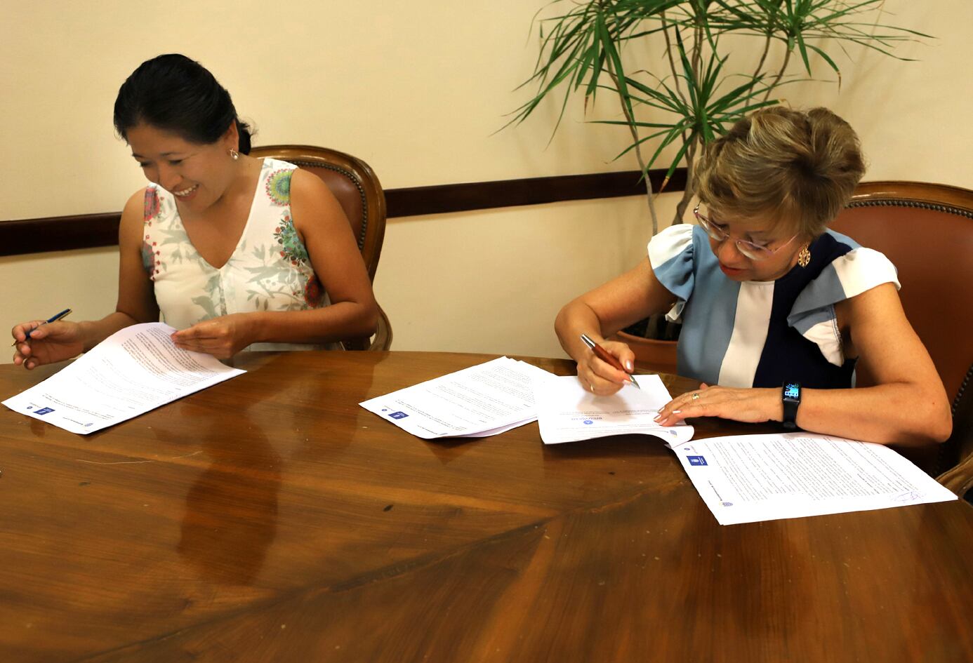 Firmas delegadas Emuvijesa acción social