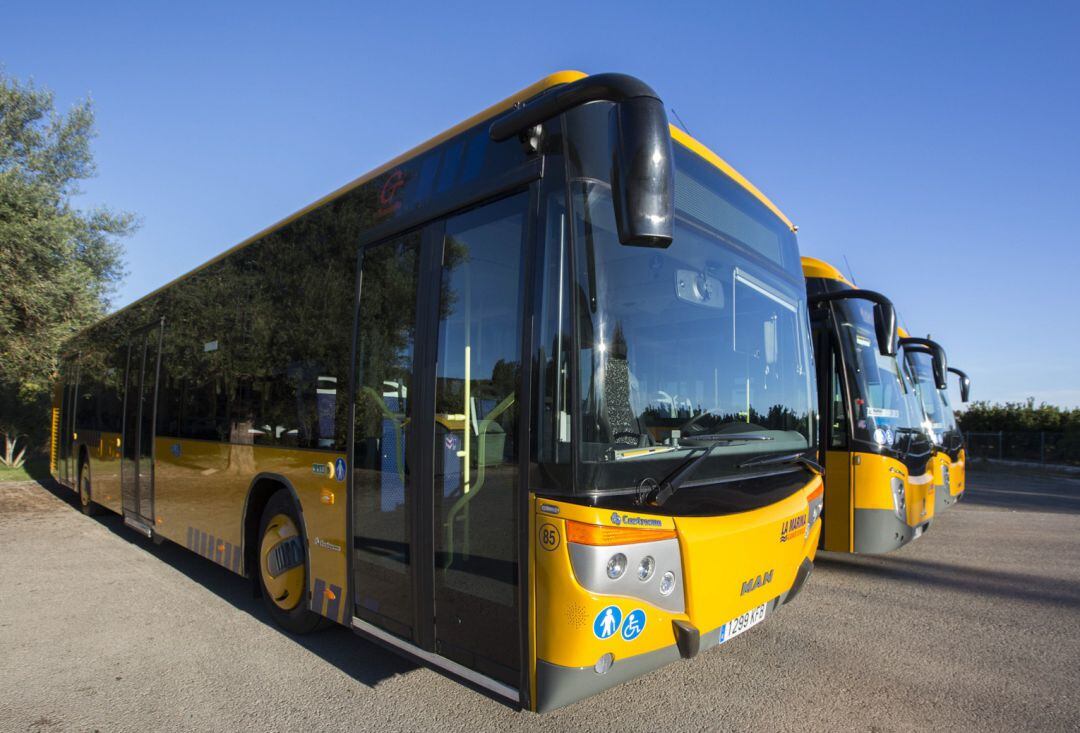 Autobuses de la Marina que conectan Gandia con el Grau y la playa. 