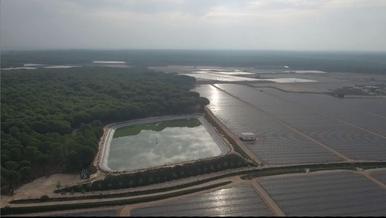 Imagen desde un dron de una de las balsas de Doñana detectada por WWF. 