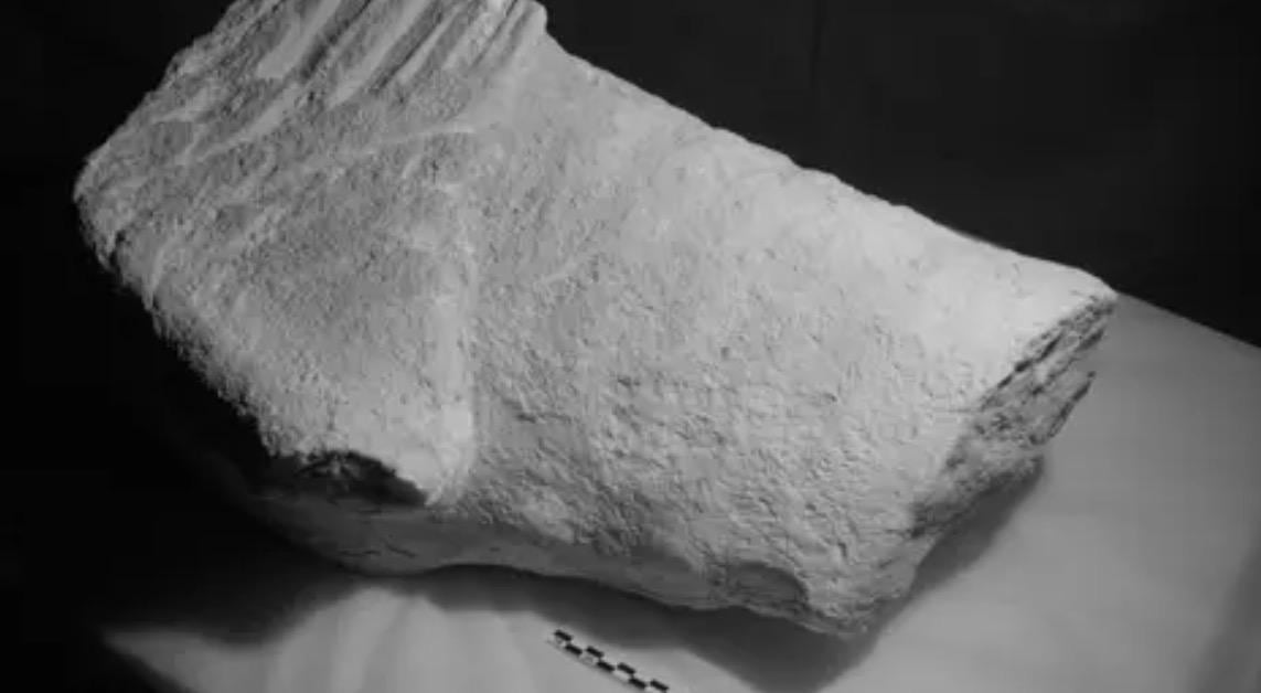 Una parte de la esfinge encontrada donde se aprecia un ala