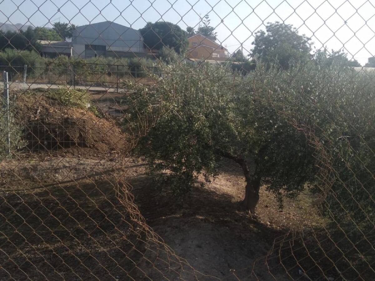 El PP pide más presencia policial en pedanías durante la Feria