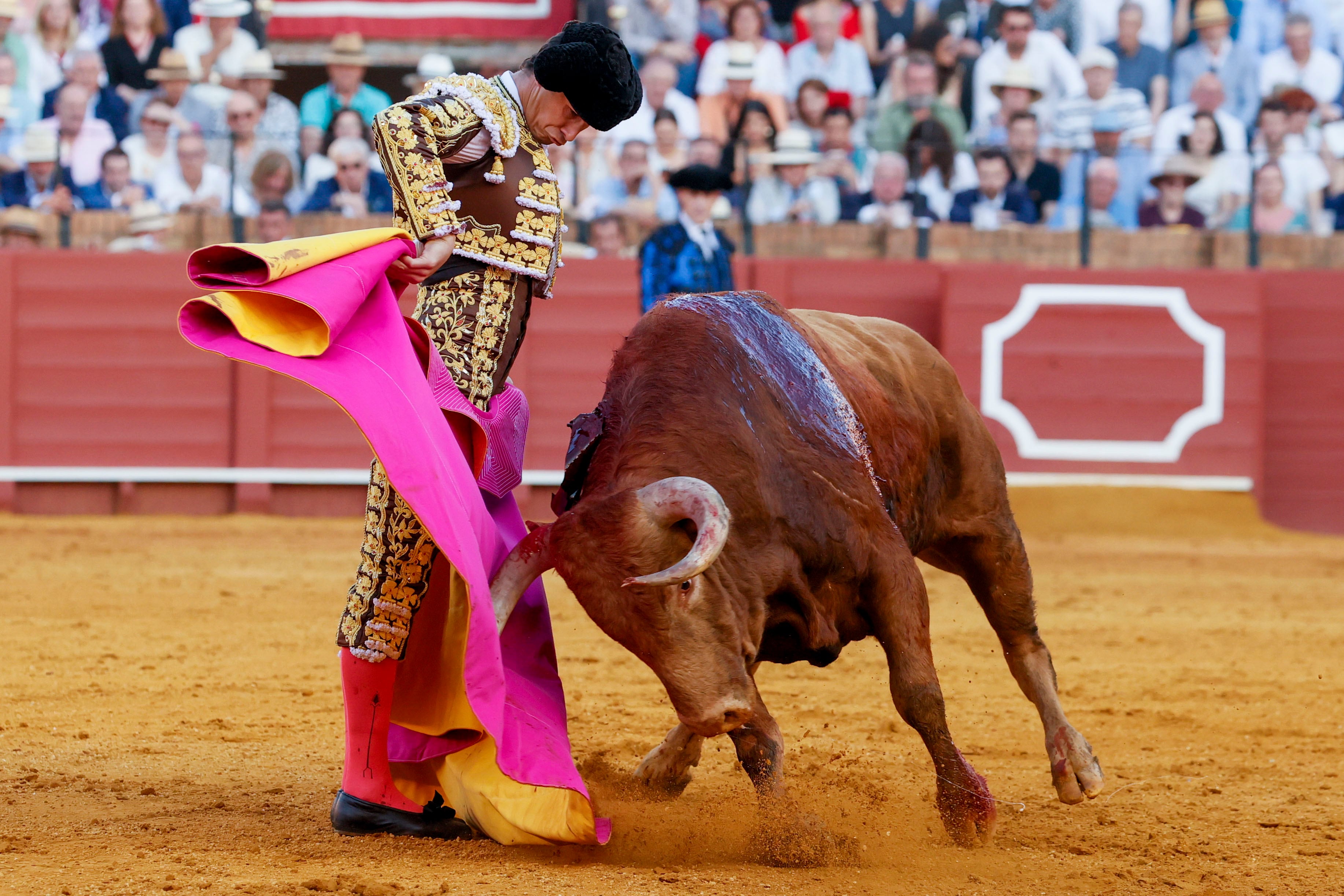 SEVILLA, 15/04/2024.- El diestro Daniel Luque da un pase al segundo de su lote durante la corrida de toros que se ha celebrado hoy lunes en la plaza de toros de La Maestranza, en Sevilla. Morante de la Puebla, Daniel Luque y Juan Ortega conforman el cartel del festejo con reses de la ganadería salmantina de Domingo Hernández. EFE/José Manuel Vidal
