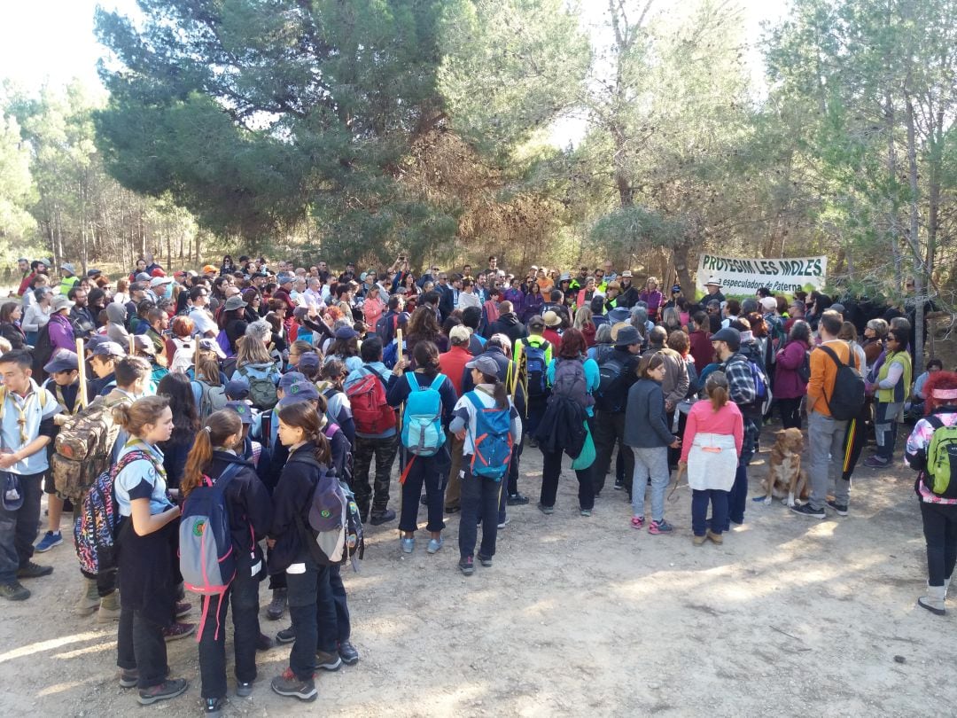 Alrededor de 600 personas han participado en la bellotada organizada en Paterna para protestar contra la construcción de Puerto Mediterráneo