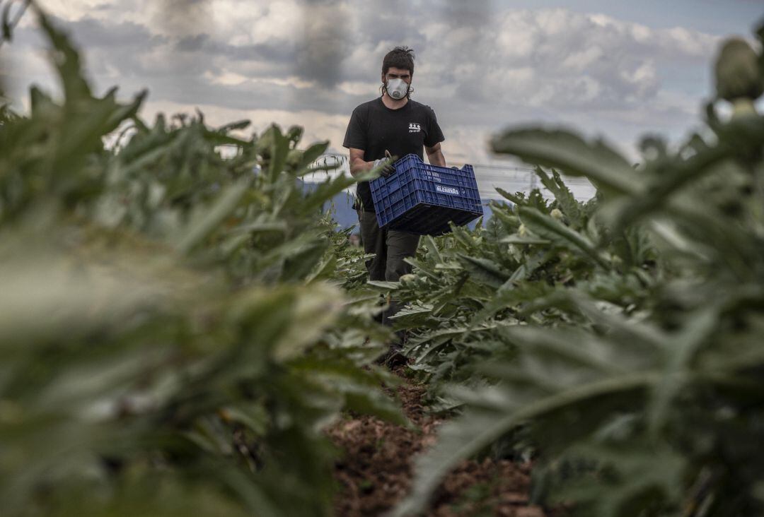 La Agricultura ecológica o la ganadería extensiva, pilares del futuro económico para los ecologistas en la provincia