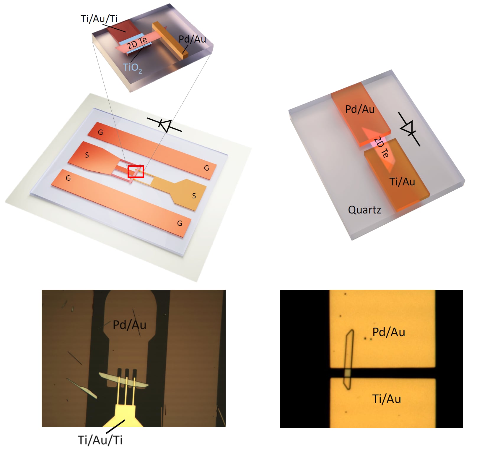 Esquema y fotografía microscópica dedispositivos TIM formados por Titanio/Oro/Titanio (Ti/Au/Ti) – Óxido de titanio
(TiO2) – Teluro bidimensional (2D Te) – Paladio/Oro (Pd/Au). A la derecha,
dispositivos TM basados en Titanio/Oro (Ti/Au) – Teluro bidimensional (2D Te) –
Paladio/Oro (Pd/Au). El teluro bidimensional se sintetiza mediante un proceso
hidrotermal, formando escamas («flakes»), con un área de decenas o centenares
de micrómetros cuadrados.