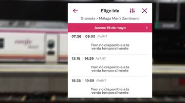 Anulación de trenes Granada-Málaga: si la foto llama la atención, los detalles son más preocupantes