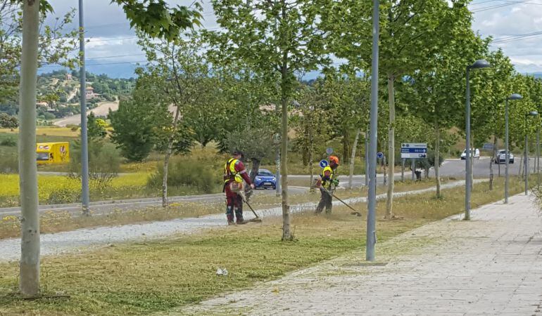 Trabajadores del Plan Especial de Desbroce