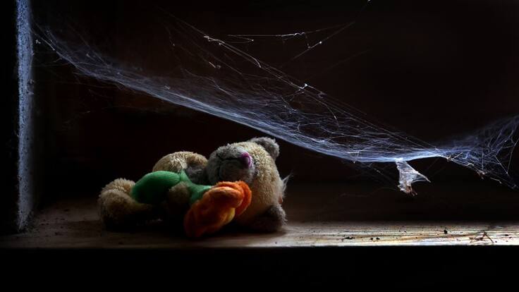 Sonia Vaccaro: "Tenemos que convencernos de que un maltratador jamás puede ser un buen padre"