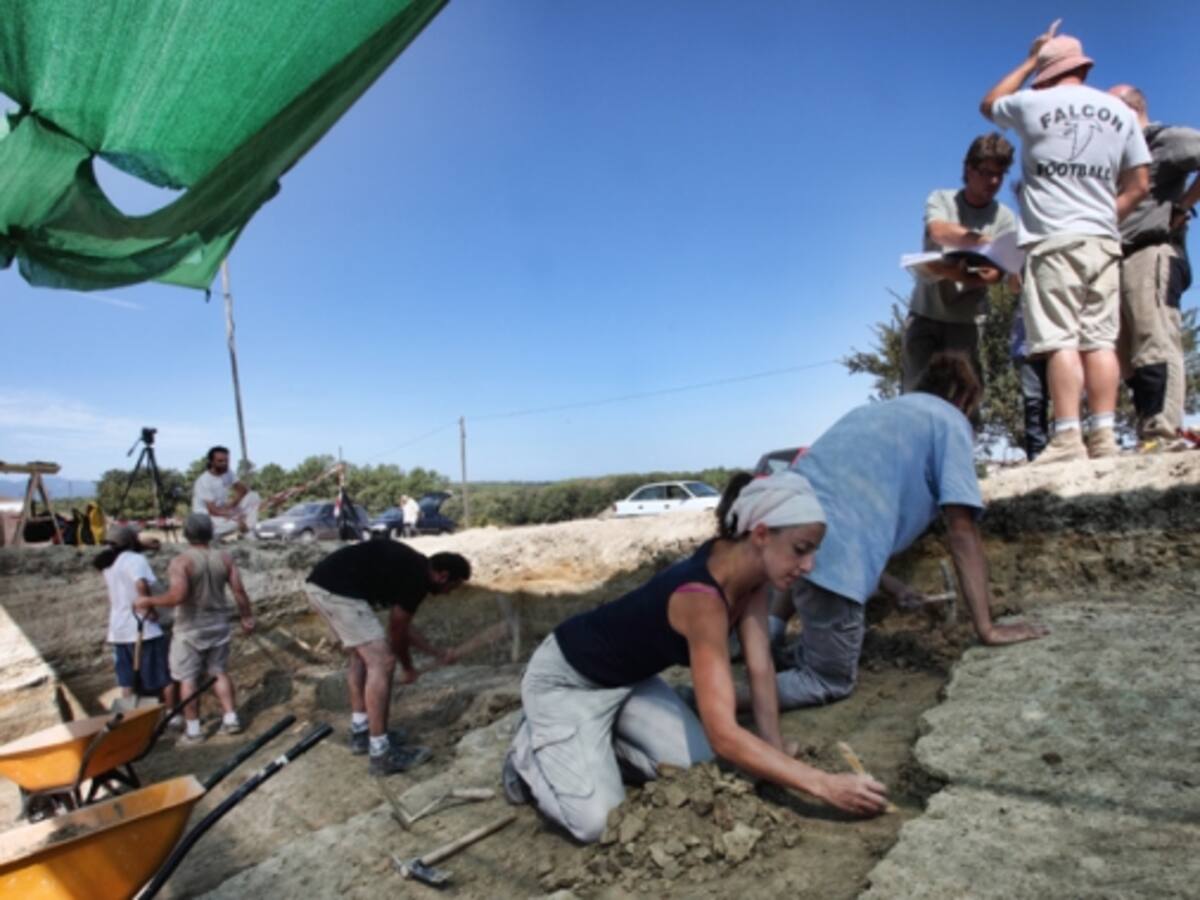 El Camp dels Ninots es queda sense excavacions