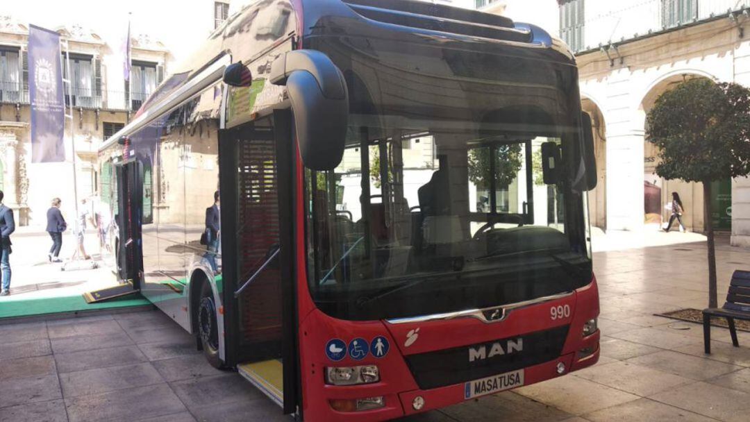 Autonús del TAM de Alicante