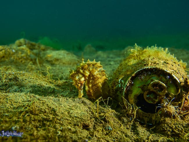 Fotografía de José Luis Alcaide