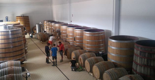 Elaboran y crían sus vinos en barricas de madera de roble.