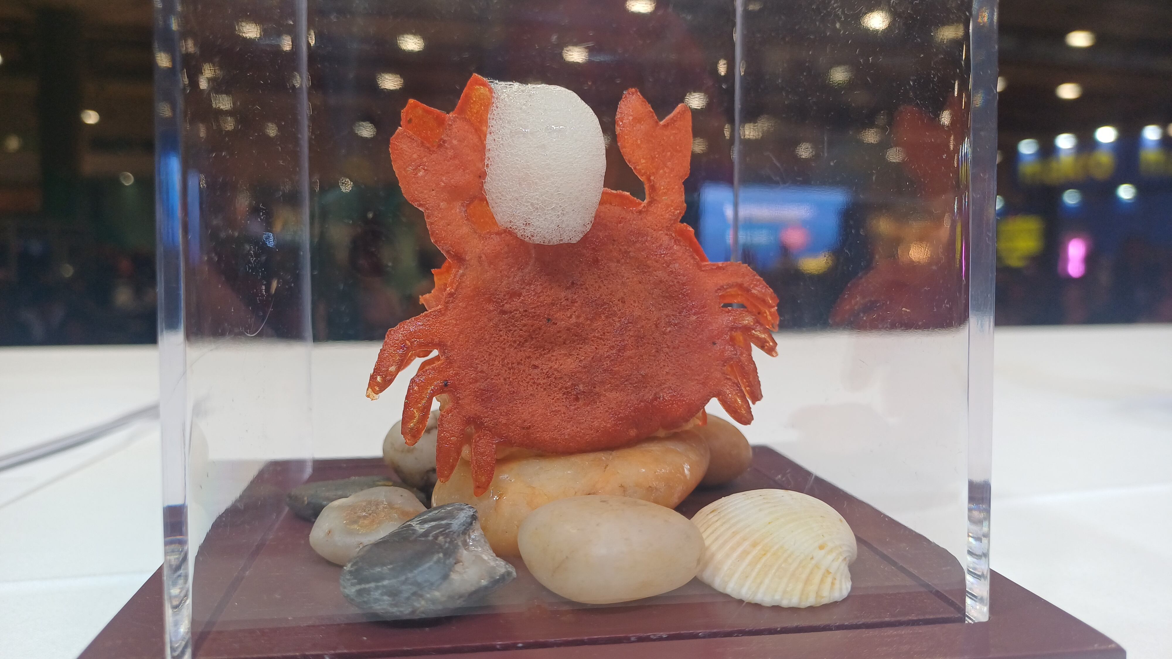 Anda Rica: Mejor Tapa de España 2026.