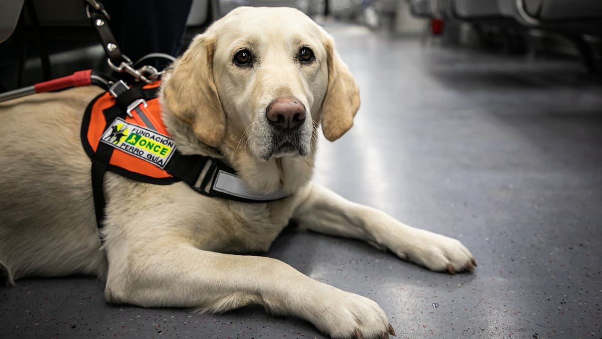 Hablamos con el director de la agencia de la ONCE en Xàtiva, Simón Costa