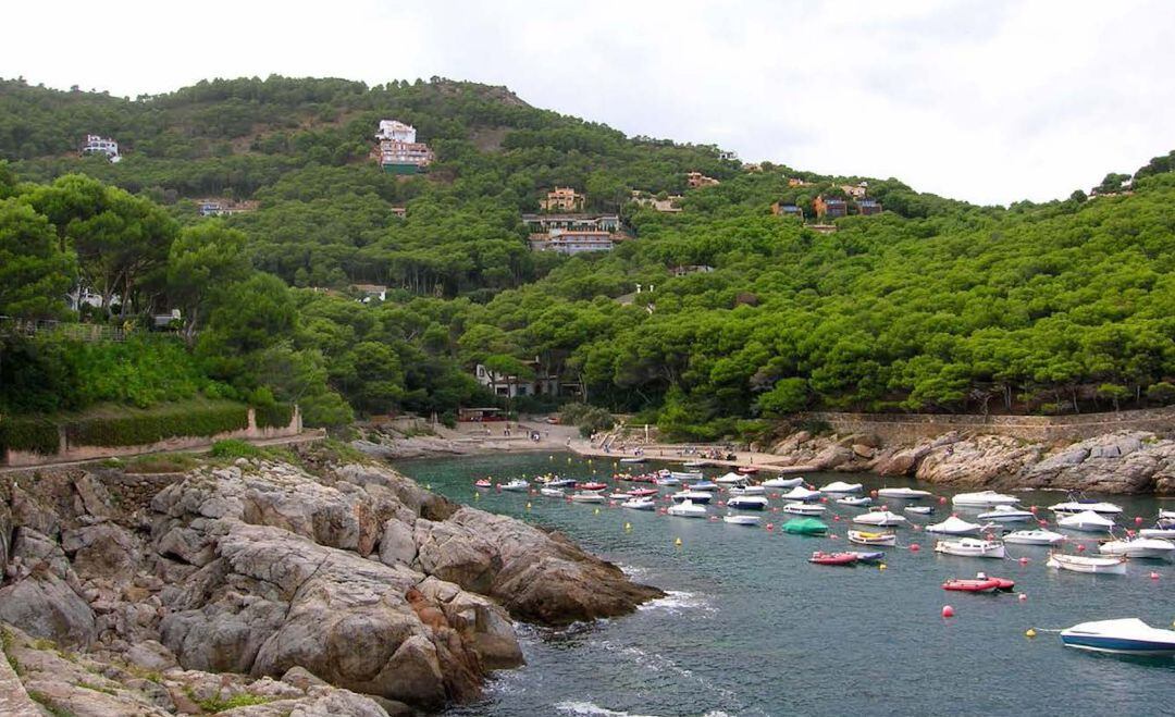 La cala d&#039;Aiguafreda de Begur es preservarà de la urbanització