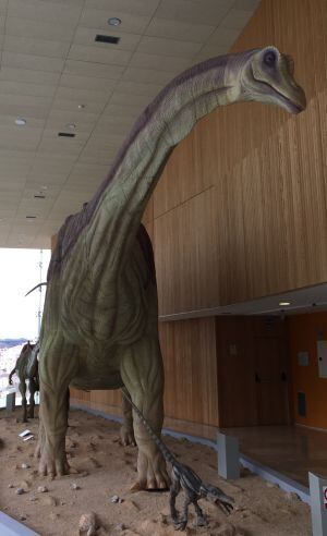 Reproducción de un titanosaurio en el Museo de Paleontología de Castilla-La Mancha