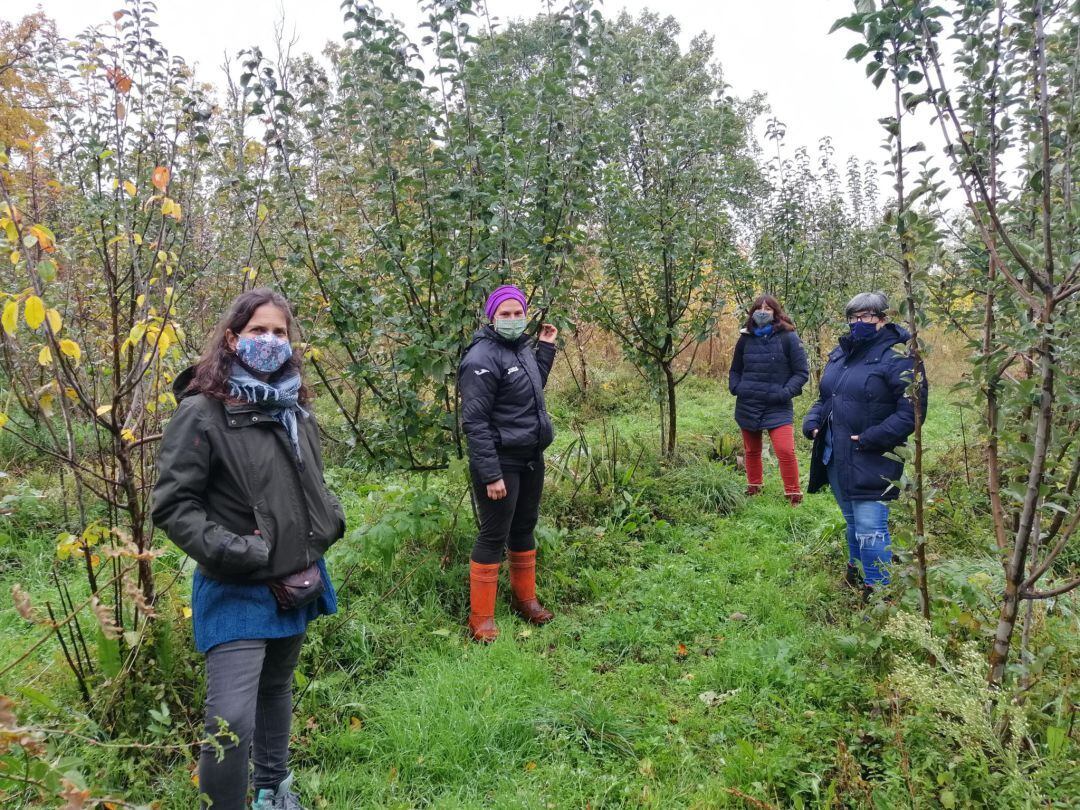 Bioveres busca crear vergeles en diferentes fincas y explotaciones agroecológicas de la Sierra Norte de Madrid