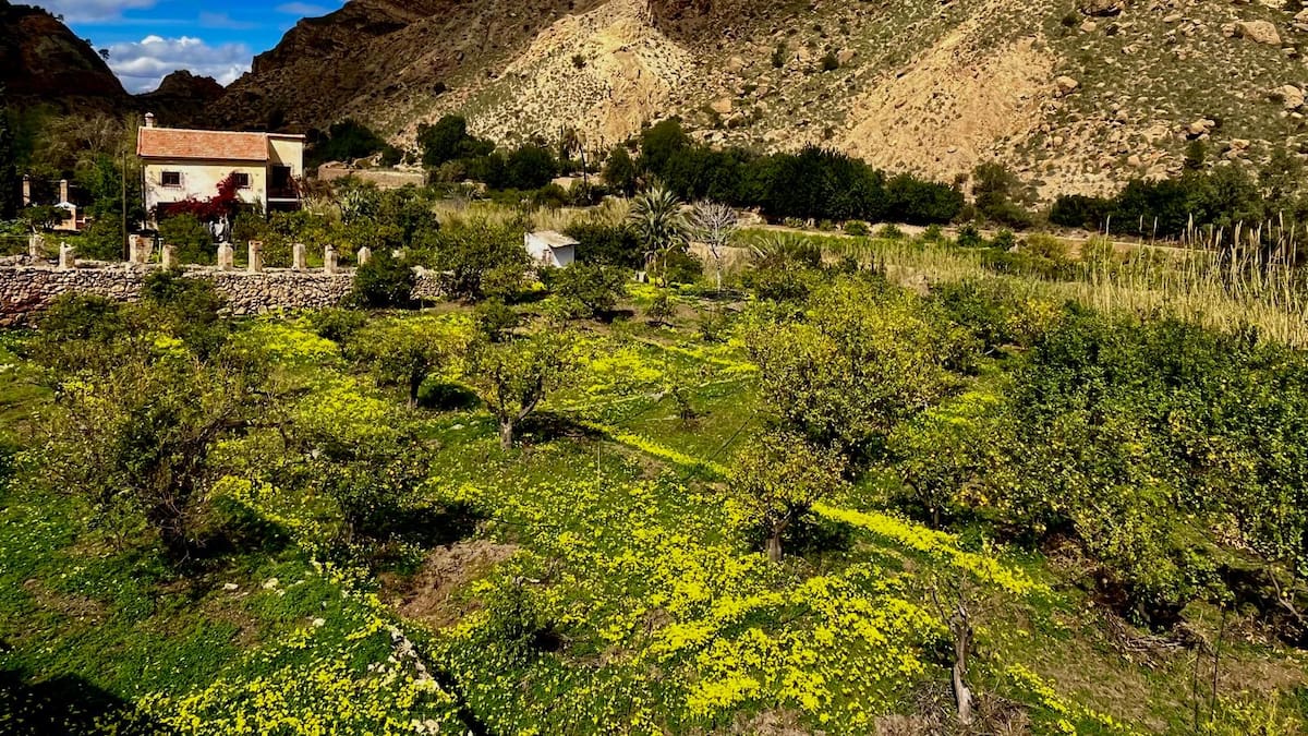 SER Viajeros se adentra en el Palacio Califal de Lorca y descubre la floración del Valle de Ricote