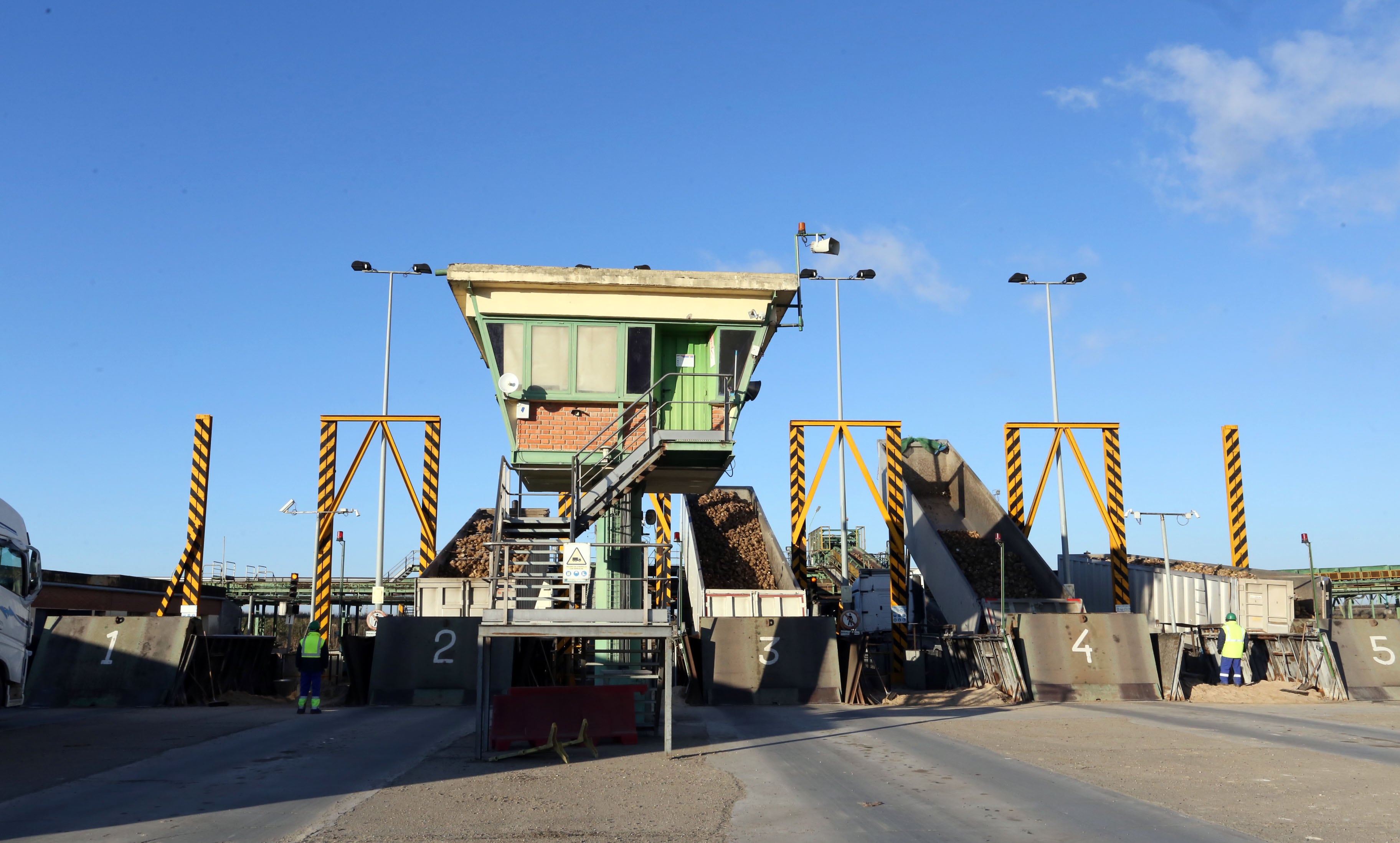 Descarga de remolacha en la azucarera ACOR, en Olmedo (Valladolid)