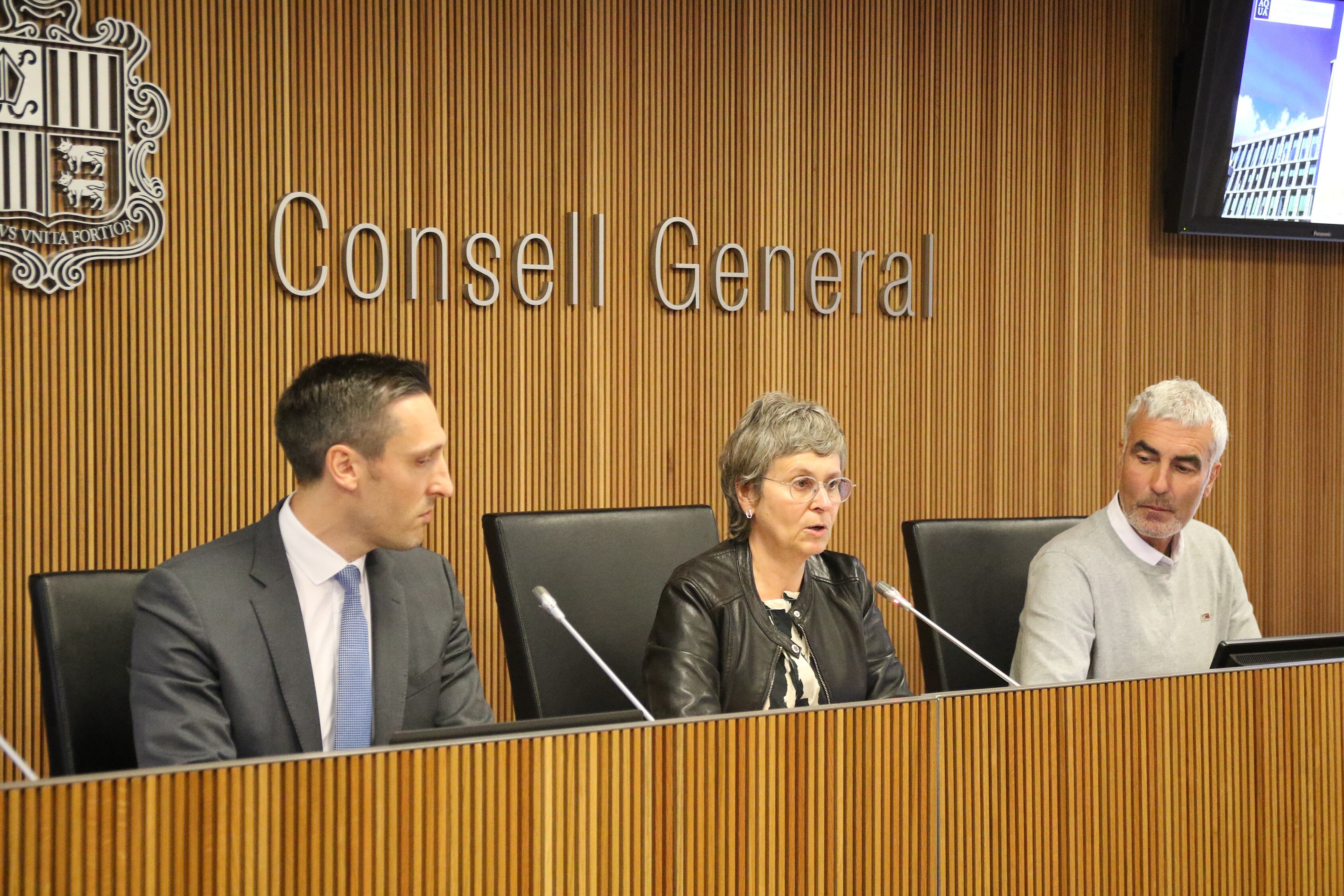 El director de l'Agència de Qualitat de l'Ensenyament Superior d'Andorra, Isaac Galobardes, durant la seva comperaeixença al Consell General