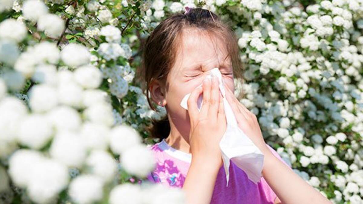 Jonathan Vicente (Alergólogo de Soria) - La alta concentración de polen afecta a los sorianos con alergias por encima de las previsiones
