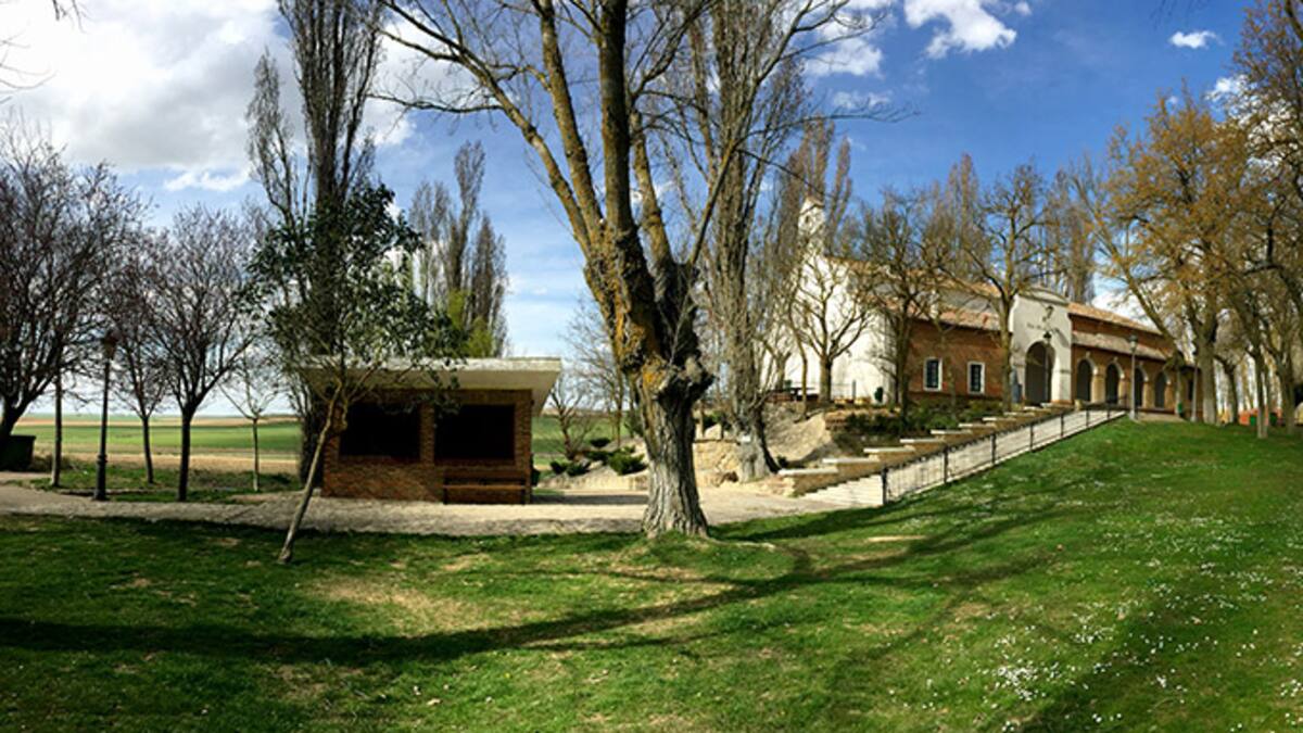 Alertan de la presencia de varios perros salvajes en Paredes de Nava