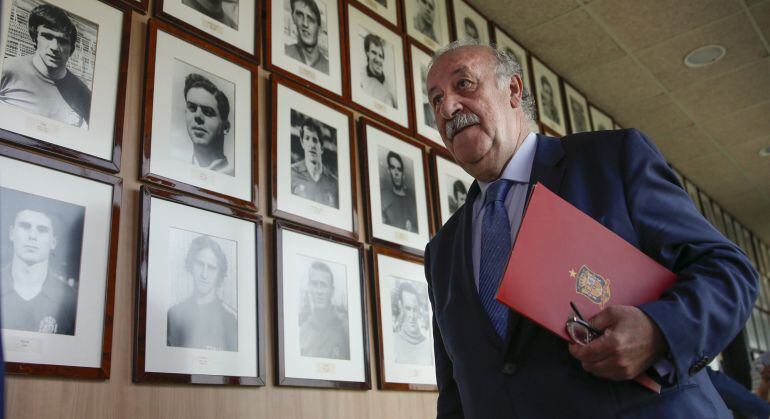 El seleccionador nacional Vicente del Bosque.