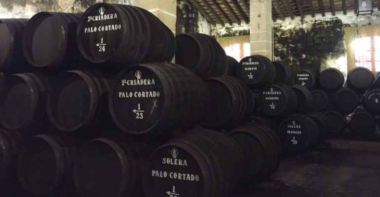 Fino y Manzanilla, secretos con denominación de origen