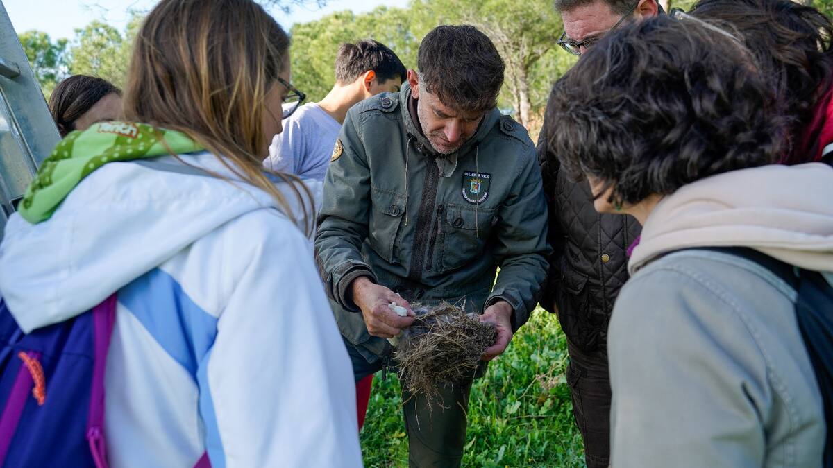 Estudiantes de Colmenar Viejo colaboran en la prevención de la procesionaria