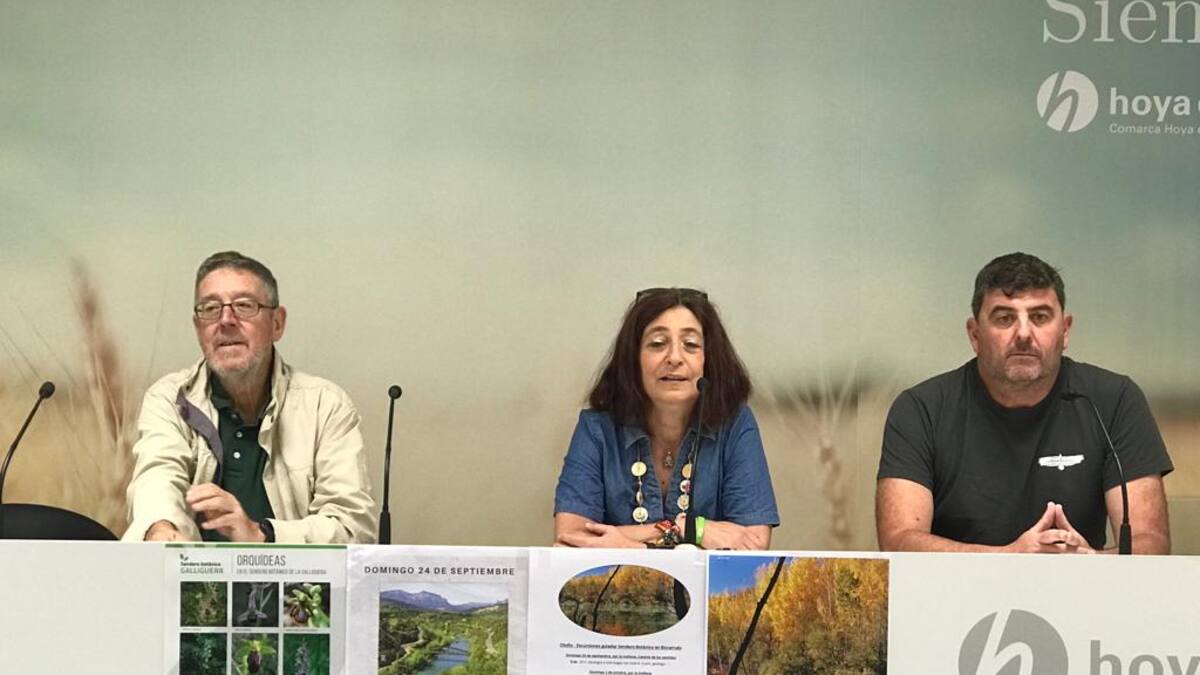 Actividades para descubrir y disfrutar de los árboles y aves de la Galliguera