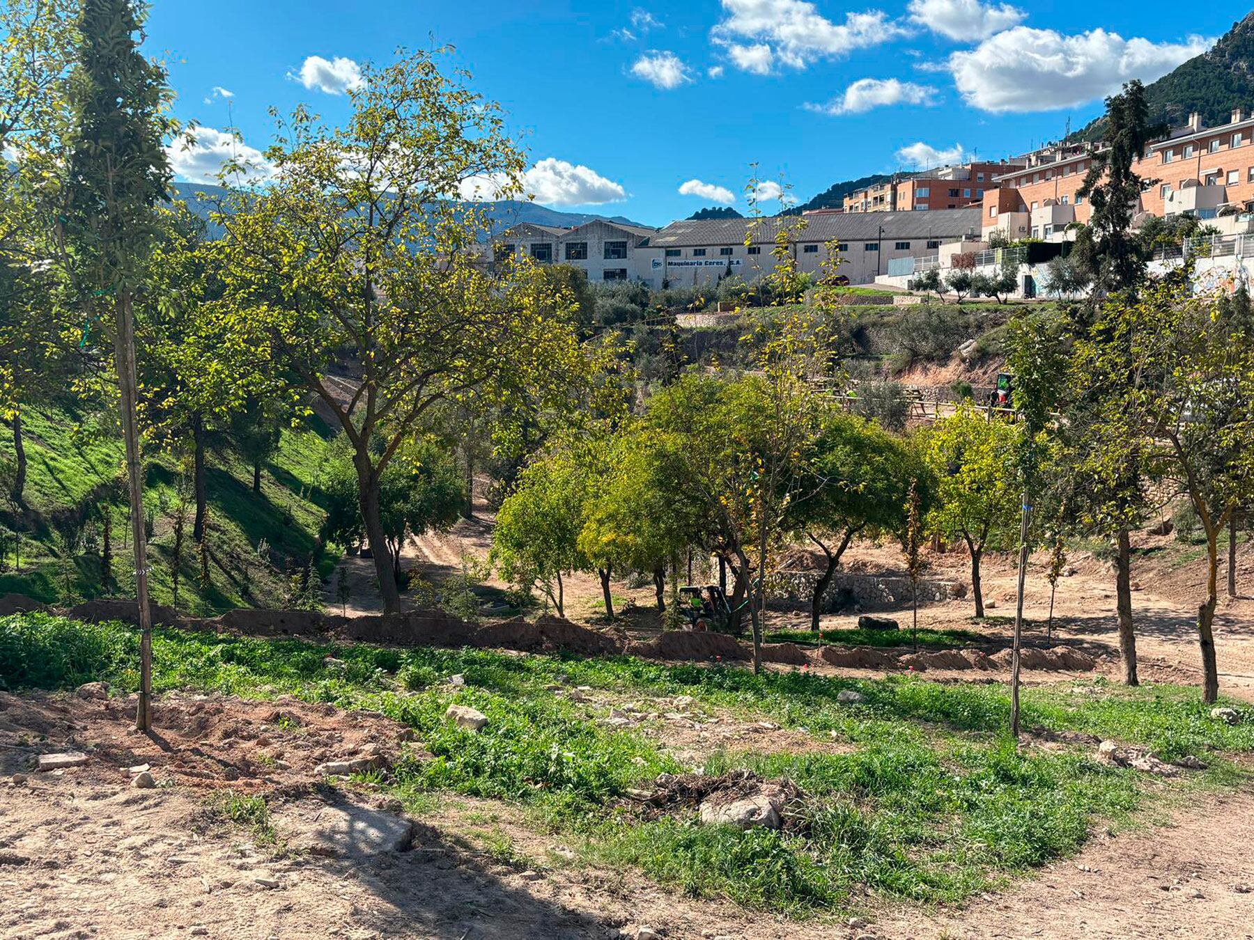 Imagen de las actuaciones en La Vaguada