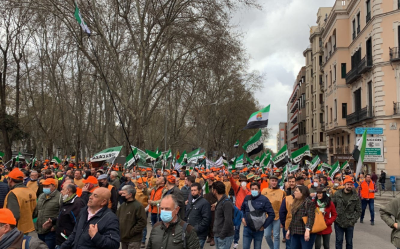 Agricultores y ganaderos marchan en Madrid para exigir mejoras en el sector.