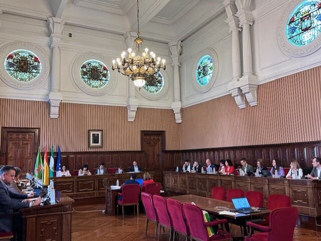Sesión plenaria en el Palacio Provincial de Jaén.