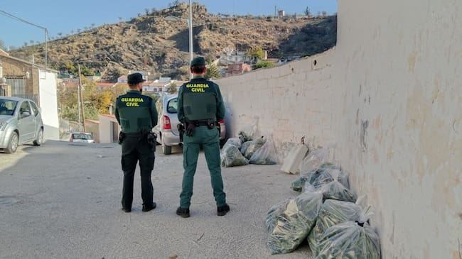 Operación antidroga en Pinos Puente (Granada)