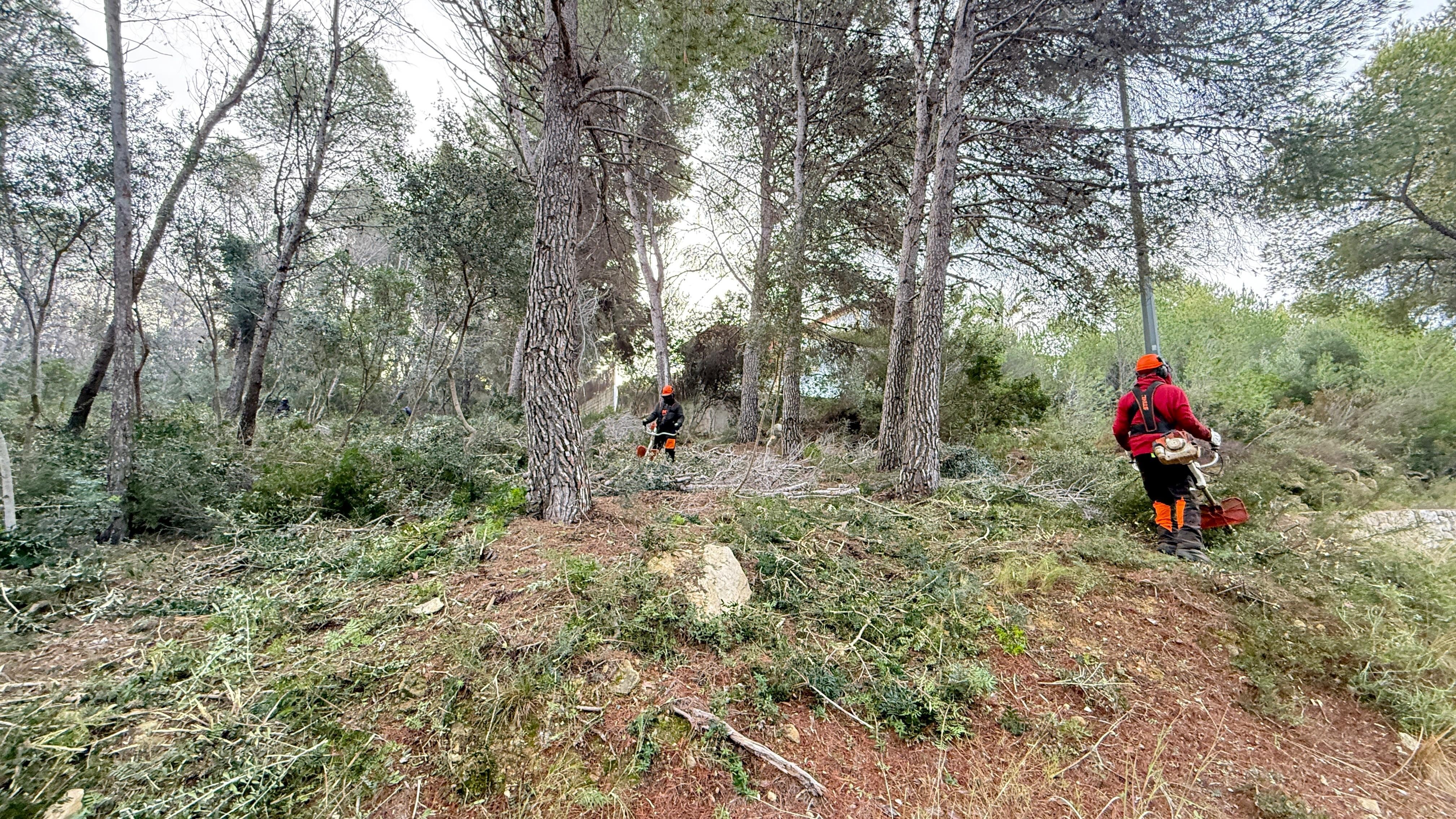 Operarios realizando los trabajos de prevención de incendios