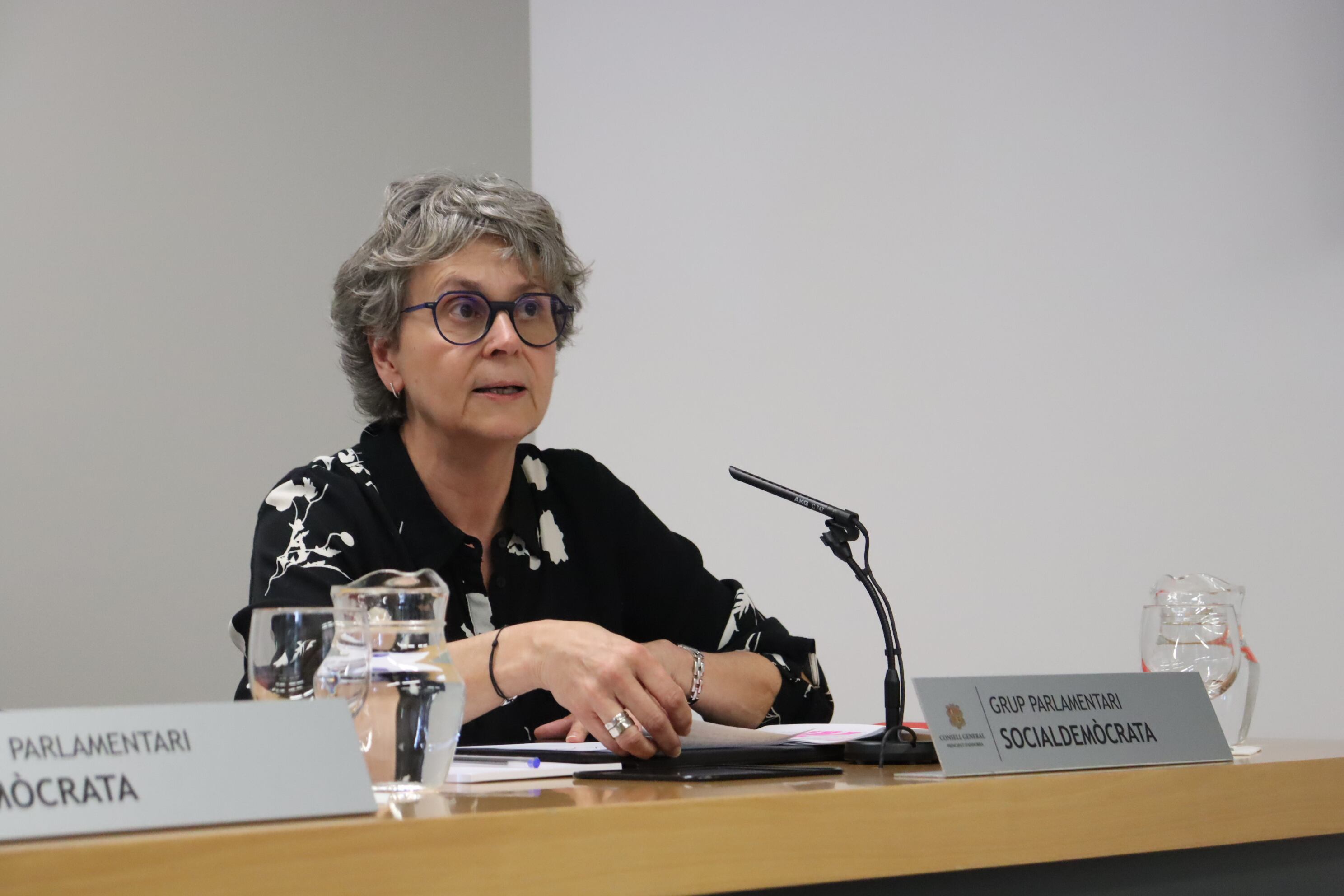 La consellera del grup parlamentari socialdemòcrata Susanna Vela