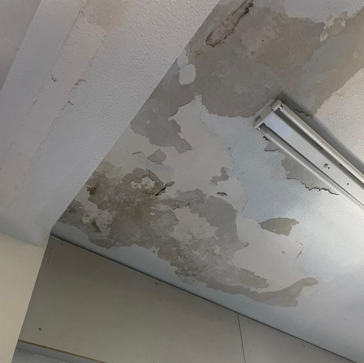 Techo de una de las aulas del IES Europa de Móstoles